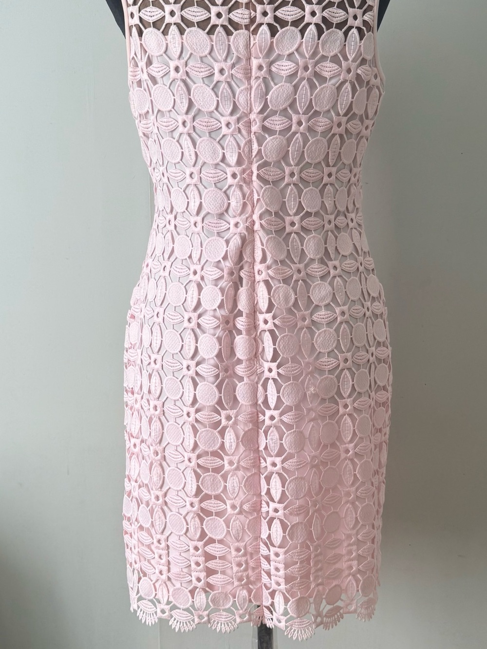Polo by Ralph Lauren Pale Pink Lace Midi Dress - Picture 2 of 4